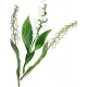 Брошь серебряная с эмалью "Ландыш широколистный"