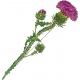 Брошь серебряная с эмалью "Чертополох"